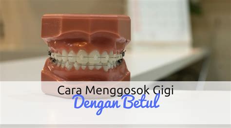 Cara Menggosok Gigi Dengan Betul - Wikicara