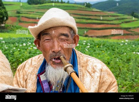 Chinese traditional old man beard hi-res stock photography and images - Alamy