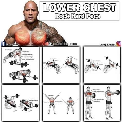 Lower Chest Exercises For Men