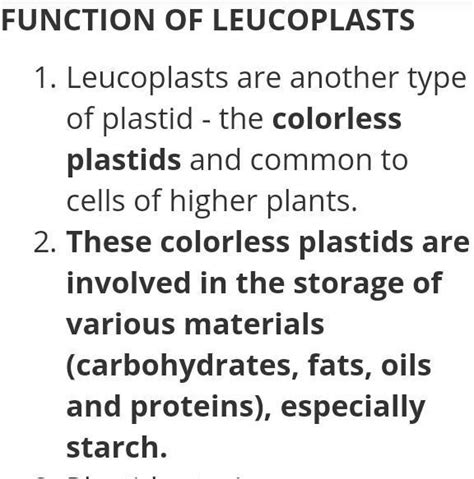 write the main function of leucoplast - Brainly.in