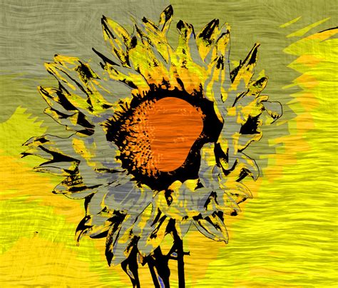 Picasso Sunflower Free Stock Photo - Public Domain Pictures