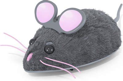 Hexbug Mouse Robotic Cat Toy, Color Varies - Chewy.com