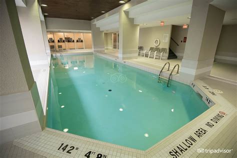 Doubletree By Hilton Hotel Toronto Downtown Pool: Pictures & Reviews - Tripadvisor