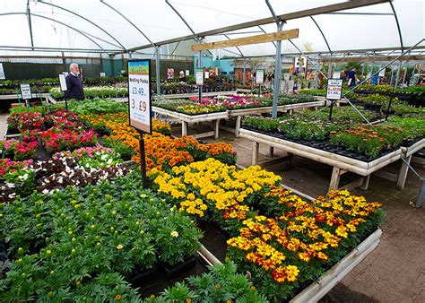 Garden centre - Lyonshall Nurseries and Garden Centre | Herefordshire