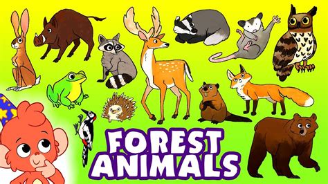 画像をダウンロード in forest animals 733738-Adaptation in forest animals