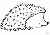 Cute Hedgehog coloring page  Free Printable Coloring Pages sketch template