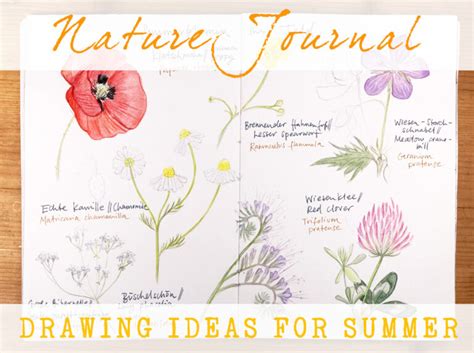 Nature Journal - Drawing ideas for summer - new class | Julia Bausenhardt