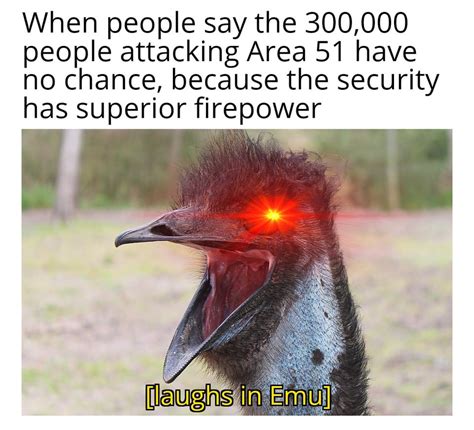 Didn't matter in the Great Emu war : memes