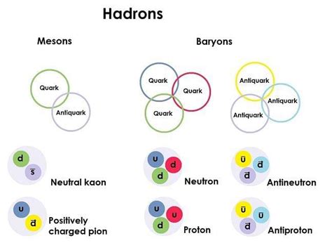 Hadron: Types, Properties, Hadron Particles, and Hadron Collider