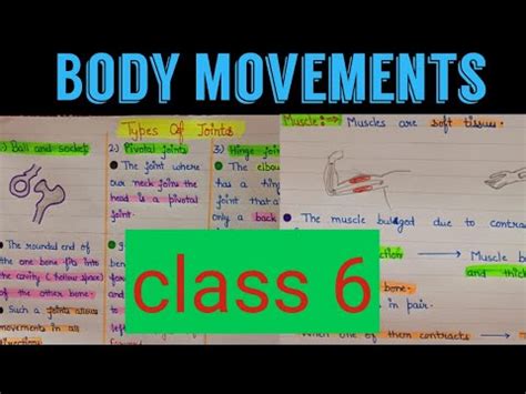 Body movement class 6 | body movement class 6 explanation | body movement class 6 notes - YouTube