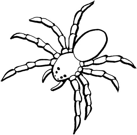 Spider Clipart Black And White in Animal, Black White - 76 cliparts