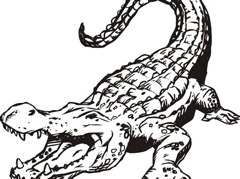 Crocodile Colouring Pages To Print - Free Printable Templates