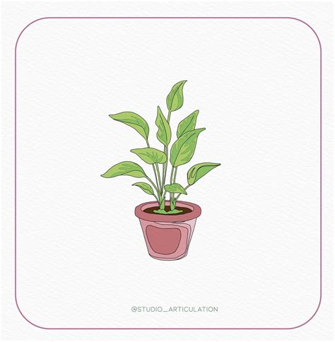 Handmade Vector Indoor Plants | Learn Architecture Online