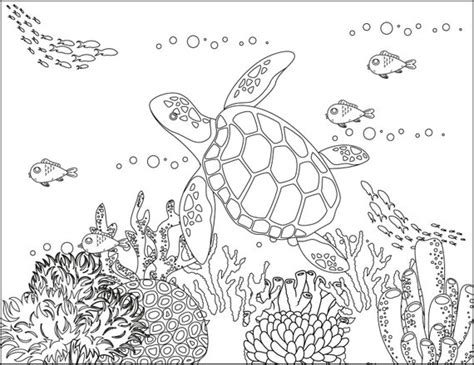 Free Printable Ocean Coloring Pages