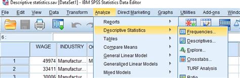 Reporting Descriptive Statistics in SPSS - OnlineSPSS.com