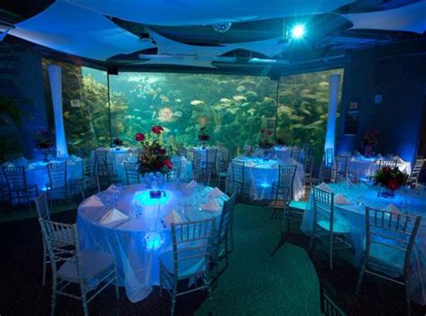 Florida Aquarium | Corporate Events, Private Parties, Weddings & Kids ...