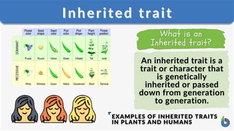 Inherited traits - Definition and Examples - Biology Online Dictionary