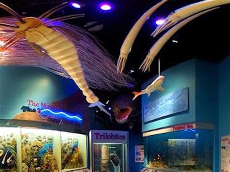 Illinois State Museum in Springfield | Illinois - on FamilyDaysOut.com