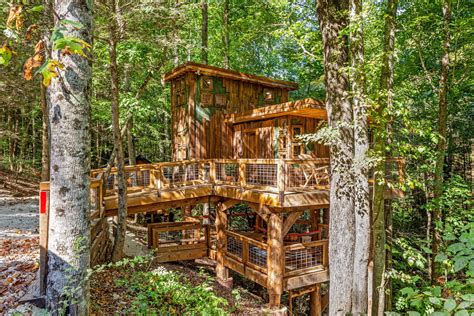 Experience Glamping at Amazonia Treehouse | Red River Gorge, KY ...