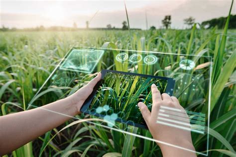 Why do you need to use remote sensing for the crop model? - Surveying Group