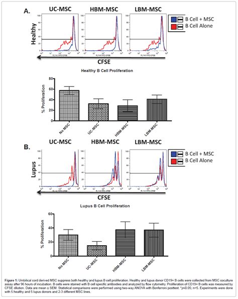 stem-cell-research-umbilical-cord