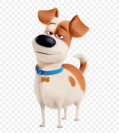 Max Gidget Dog Pet Film, PNG, 501x917px, Max, Animation, Carnivoran, Character, Companion Dog ...