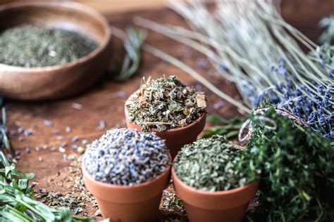 How To Dry Fresh Herbs Using A Dehydrator – Herbal Academy