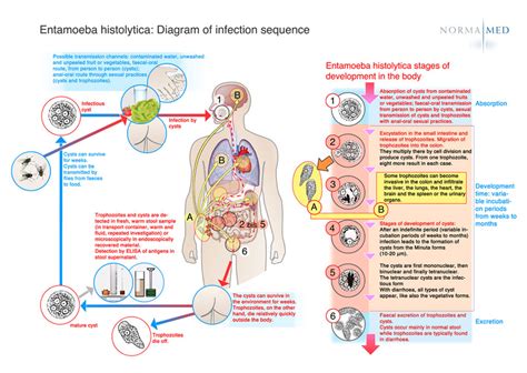 Dysentery the second killer of death for children's ~ Excellent Article ...