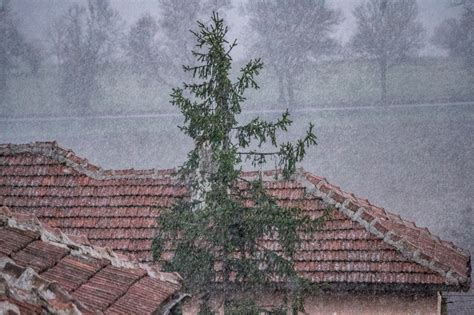 Седмична прогноза на Meteo Balkans за 27 ноември до 03 декември : Очакваме поледици, сняг, вятър ...