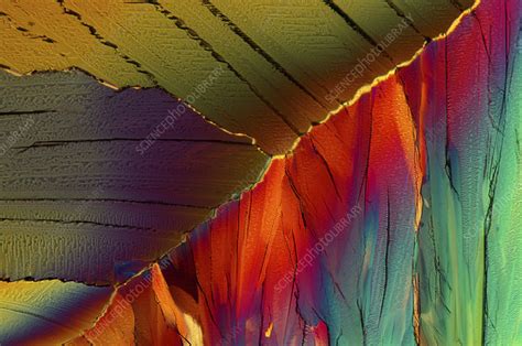 Citric acid crystals, light micrograph - Stock Image - C026/2618 - Science Photo Library