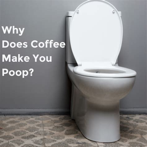 Why Does Coffee Make You Poop - Henry’s House Of Coffee