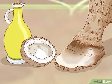 How to Make Hoof Oil (with Pictures) - wikiHow