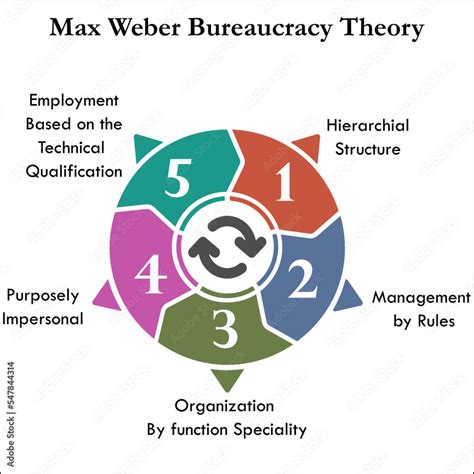 Five Steps of Max weber Bureaucracy theory in an Infographic template Stock Vector | Adobe Stock