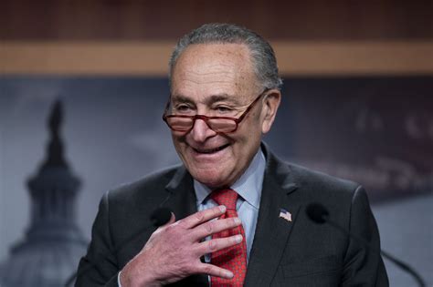 Chuck Schumer reelected Senate leader after Dems expand majority - pennlive.com