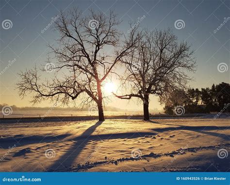 A Snow Filled Winter for Iowa Stock Photo - Image of iowa, filled ...