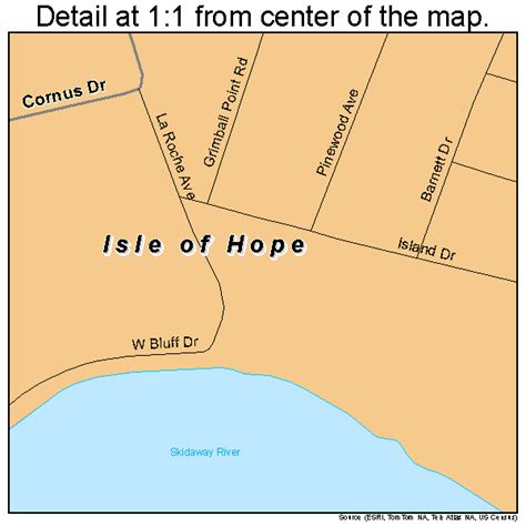 Isle of Hope Georgia Street Map 1341484