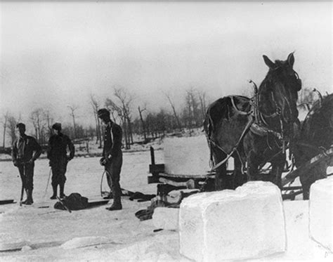 The Winter Crop: Harvesting Ice - Billings Farm