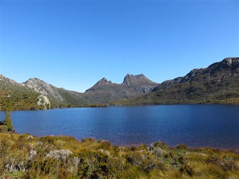 Dove Lake Circuit - Aussie Bushwalking