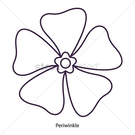 Periwinkle Flower Drawing at GetDrawings | Free download