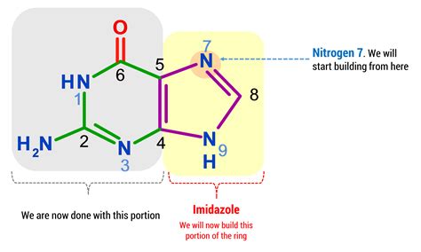 Guanine Molecule – Duluth Labs