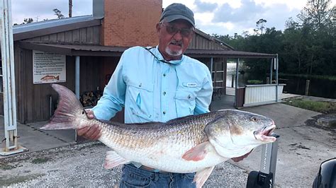 Louisiana Sportsman