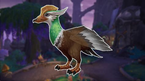 WoW Dragonflight gives Hunter adorable duck pets