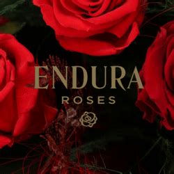 Endura Roses Franchise - Event Planning Franchises | Franchise UK