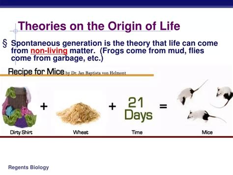 PPT - Theories on the Origin of Life PowerPoint Presentation, free download - ID:9474106