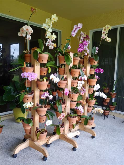 Diy Hanging Orchid Pots : 5 out of 5 stars.