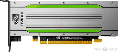 NVIDIA Tesla T4 Specs TechPowerUp GPU Database | atelier-yuwa.ciao.jp