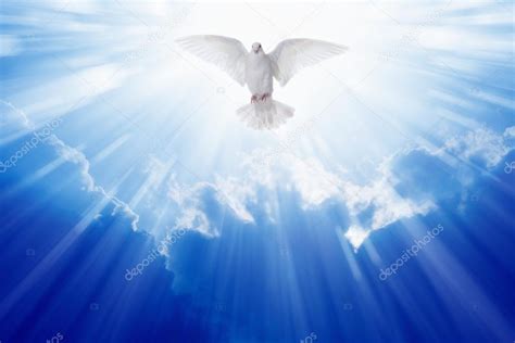 Holy spirit dove — Stock Photo © I_g0rZh #68878617