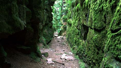 The Roaches Walks, Walks In The Roaches, The Peak District