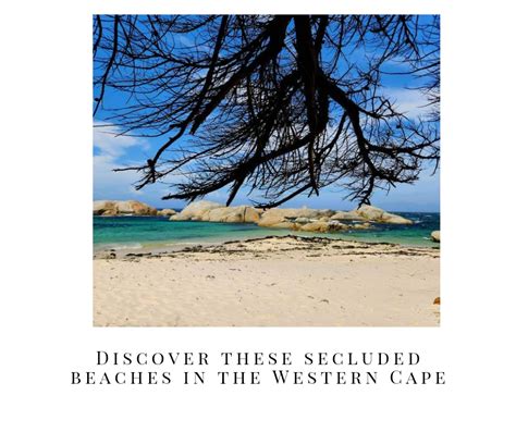 Discover these secluded beaches in the Western Cape - Fun Mamma SA