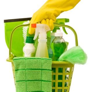 How to Make Your Apartment Living More Green | Phoenix Realty Real Estate